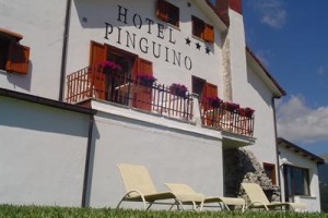Hotel Pinguino Image