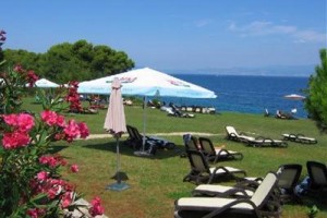 Hotel Pinia voted  best hotel in Malinska