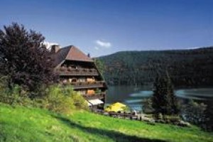 Hotel Restaurant Alemannenhof Titisee-Neustadt voted  best hotel in Titisee-Neustadt