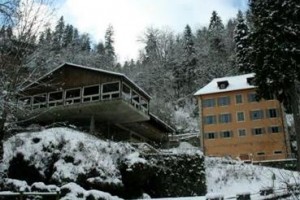 Hotel Restaurant de la Source Consolation-Maisonnettes Image