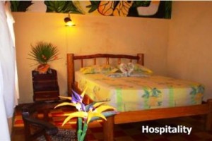 Hotel Rios Tropicales Image