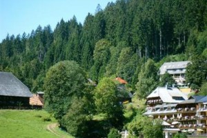 Hotel Sonnenberg Hinterzarten Image