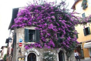 Hotel Speranza Sirmione Image