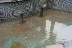 Hotel Viva Goa International Image