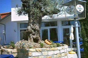 Zum Winzergarten Image