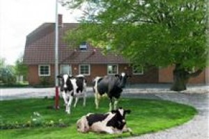 Hveddegaard Farm Holiday Image