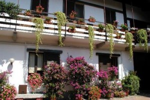 I Castagni B&B Image