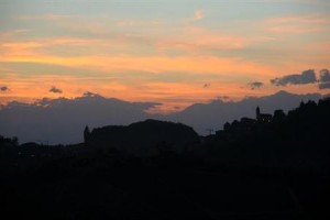Il Grillo Parlante Image