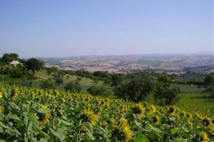 Il Sorger del Sole voted  best hotel in Cingoli