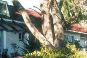 Innes Guesthouse Bloemfontein Image