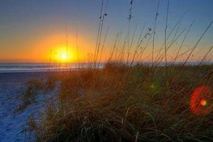 International Palms Resort & Conference Center Cocoa Beach Image