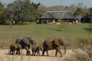 Inyati Game Lodge Image