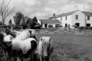 Jersey Farm Country Hotel Barnard Castle voted 4th best hotel in Barnard Castle