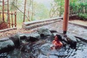 Jodogahama Park Hotel voted  best hotel in Miyako
