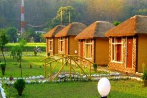 Jungle Paradise Retreat Image