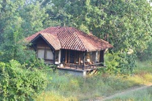 Kanha Earth Lodge Image