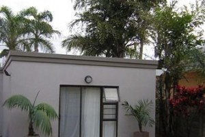Kennington Palms Image