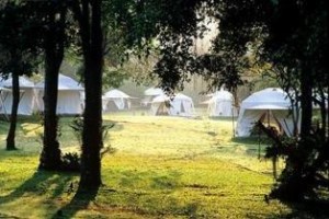 Khao Kheaw Es Ta Te Camping Resort & Safari voted 6th best hotel in Chonburi