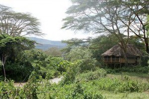 Kigio Wildlife Camp Image