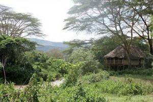 Kigio Wildlife Camp voted  best hotel in Gilgil