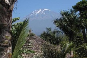 Kilemakyaro Mountain Lodge Image