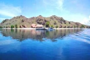Komodo Resort & Diving Club Image