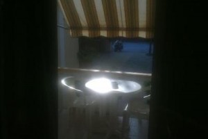 Koralli Image