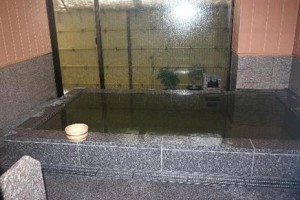 Kotohira River Side Hotel Image