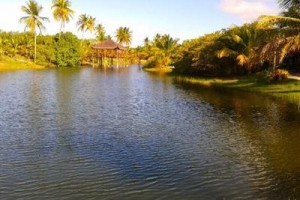 La Isla Eco Resort Image