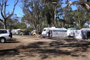 Lake King Waterfront Caravan Park Cabins Eagle Point voted  best hotel in Eagle Point