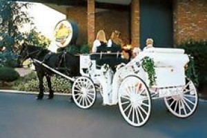 Lamp Liter Inn voted 7th best hotel in Visalia