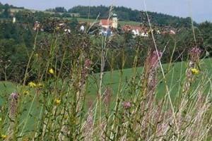Landgasthof-Pension 