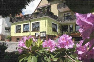 Landgasthof Hagen voted  best hotel in Grasellenbach