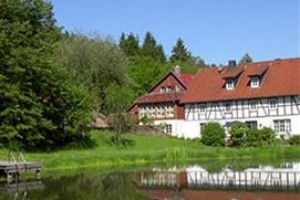 Landhaus Bärenmühle Frankenau voted  best hotel in Frankenau