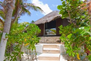 Las Ranitas EcoBoutique Hotel Image