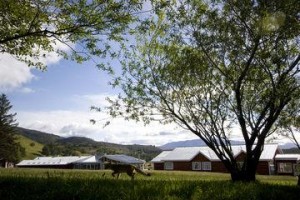 Las Torres Patagonia voted 5th best hotel in Torres del Paine