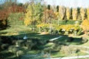 Lavender Garden Tea Rooms Accommodation Image