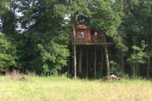 Le Nid dans l'Arbre voted  best hotel in Saint-Jean-aux-Bois 