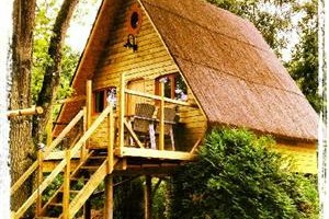 Le Nid Dans Les Bruyères Image