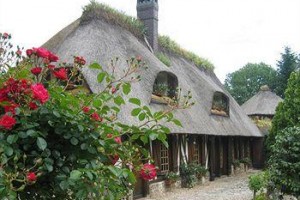 Le Petit Coq aux Champs Image