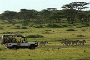 Lemala Ndutu Tented Camp Serengeti Image