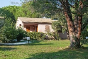 Les Pins de Santa Giulia Image