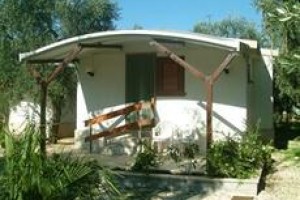Lido Dei Pini Residence Image