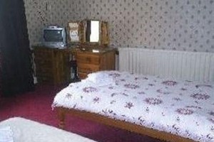 Lion Hotel Pembroke Image