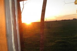 Luling Inn Image