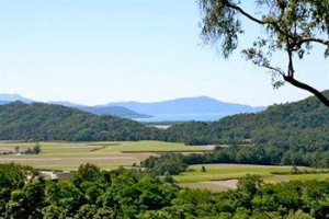 Mai Tai Resort Cassowary Image