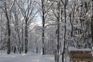 Maison de Sasagawa Image