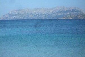 Mare Blue Hotel Olbia Image
