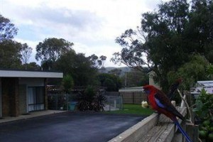 Marengo Motel Apollo Bay Image