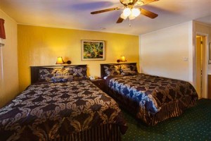 Margaretville Motel voted  best hotel in Margaretville